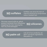 Hair Care & Body Travel Pack