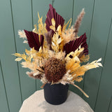 Amsterdam - Everlasting Arrangement