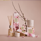 Cherry Blossom & Green Tea 70g Candle