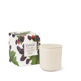 Blackberry & Plum 300g Candle