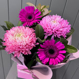 Picture Perfect - Today's Fresh Designs