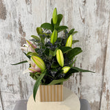 Lily Arrangement- Today's Fresh Designs