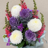 Soft Petal Morning - Todays Fresh Designs