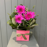 Sweet Things Arrangement  - Today's Fresh Designs