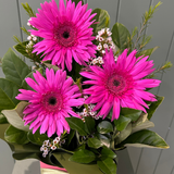 Sweet Things Arrangement  - Today's Fresh Designs