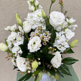 Soft Petal Morning - Todays Fresh Designs