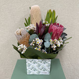 Native Beauty - Todays Fresh Designs