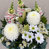 Soft Petal Morning - Todays Fresh Designs