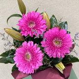 Soft Petal Morning - Todays Fresh Designs
