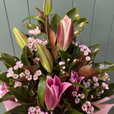 Lily Box  - Today's Fresh Flowers
