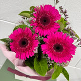 Hot Pink Gerbra Arrangement - Today's Fresh Designs