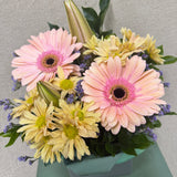 Butterfly Kisses - Todays Fresh Designs
