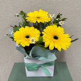 Sunrise Blooms - Todays Fresh Designs
