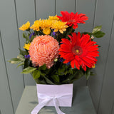 Bright Arrangement - Today's Fresh Designs