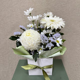 Soft Petal Morning - Todays Fresh Designs