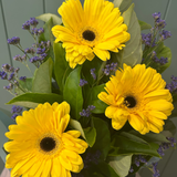Sunshine Arrangement - Today's Fresh Flowers