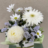 Soft Petal Morning - Todays Fresh Designs