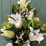 Lily Box  - Today's Fresh Flowers