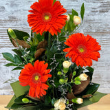 Orange Gerbra Box - Today Fresh Flowers