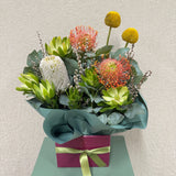 Native Beauty - Todays Fresh Designs
