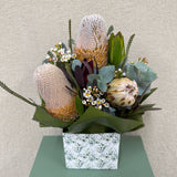 Native Beauty - Todays Fresh Designs