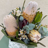 Native Beauty - Todays Fresh Designs