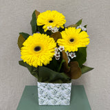 Sunrise Blooms - Todays Fresh Designs