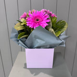 Cute Posey Pink - Today's Fresh Designs