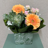 Summer Glow - Todays Fresh Designs