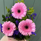 Gerbra Box - Today's Fresh Flowers