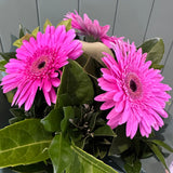 Cute Posey Pink - Today's Fresh Designs