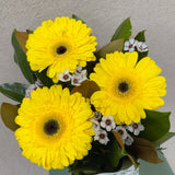 Sunrise Blooms - Todays Fresh Designs