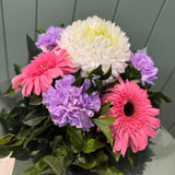 Pretty Posey  - Today's Fresh Flowers