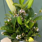 Lily Arrangement- Today's Fresh Designs
