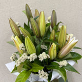 Always Her Favourite - Todays Fresh Designs