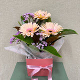 Butterfly Kisses - Todays Fresh Designs