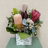 Native Beauty - Todays Fresh Designs