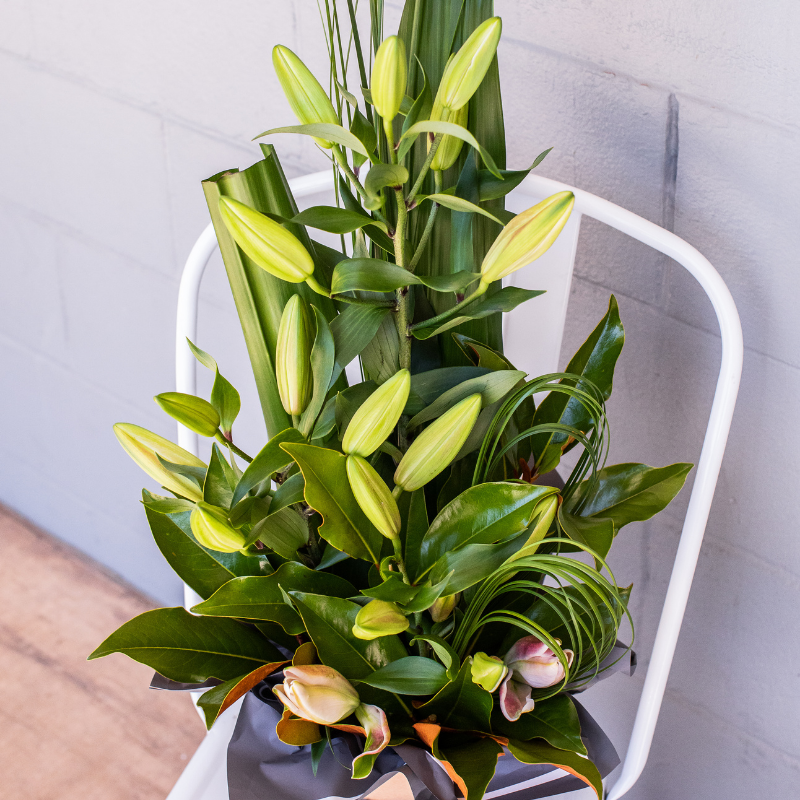 Shop Fresh Flowers Moranbah Blooms & Events Moranbah Florist