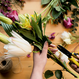 Florist Choice